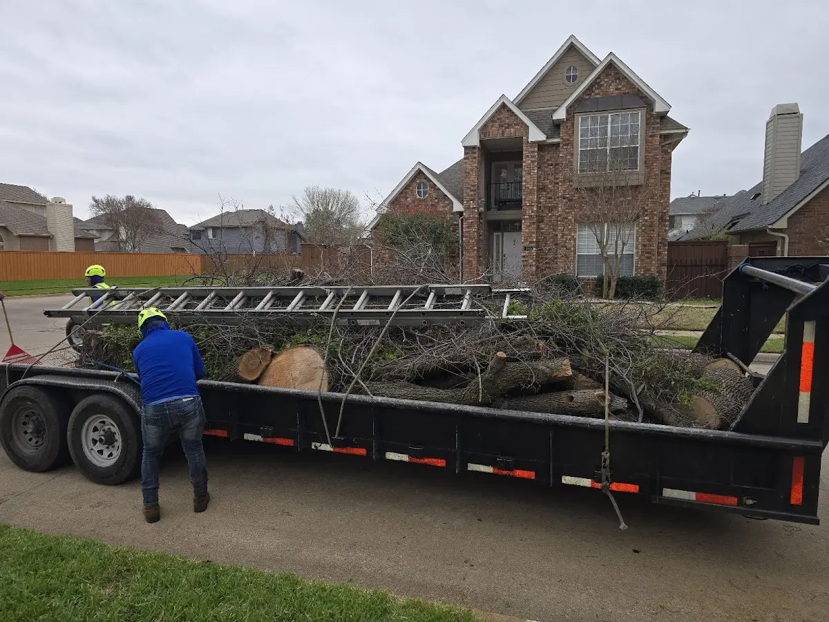 Expert Tree Removal with proper safety equipment in Paris